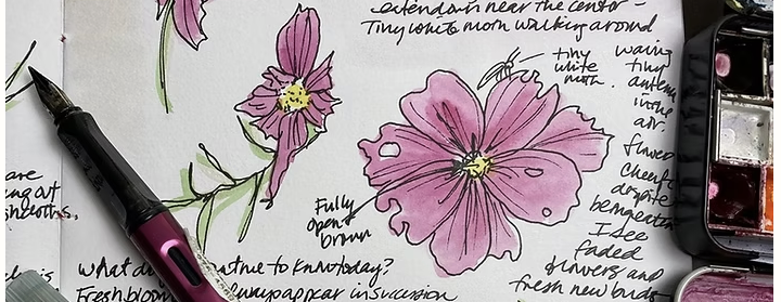 Nature Journaling with Spark in Nature